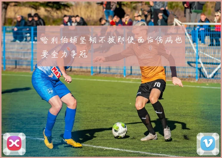 哈利伯顿坚韧不拔即使面临伤病也要全力争冠